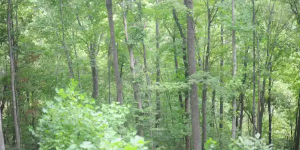 Image 3 Image 3