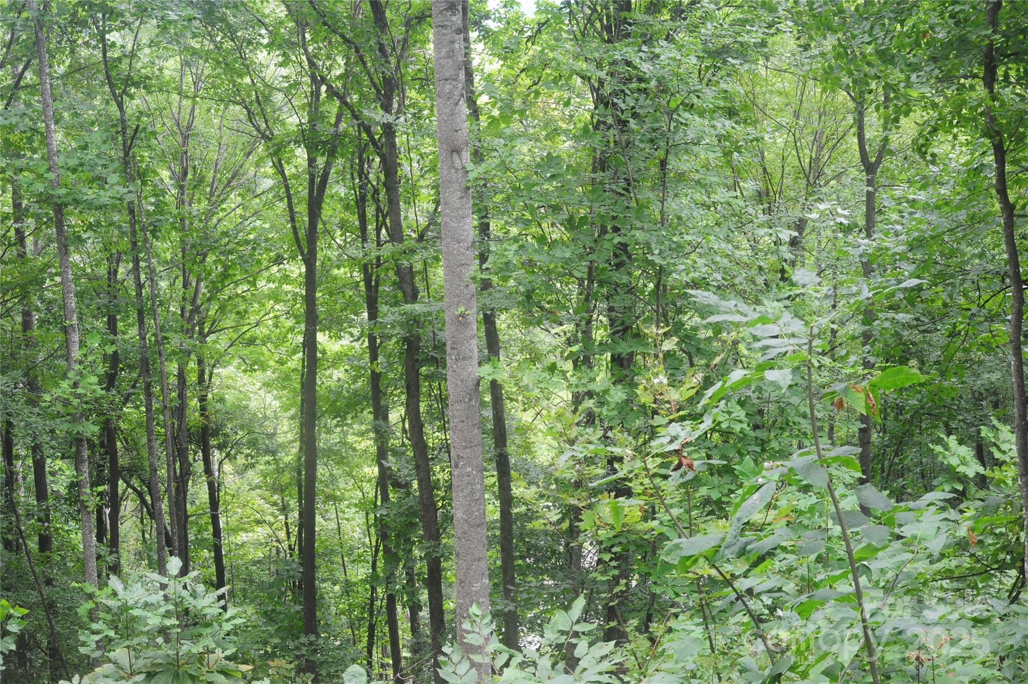 Image 4 Image 4