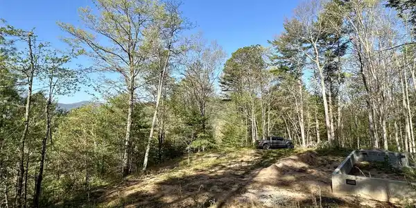 Image 4 Image 4