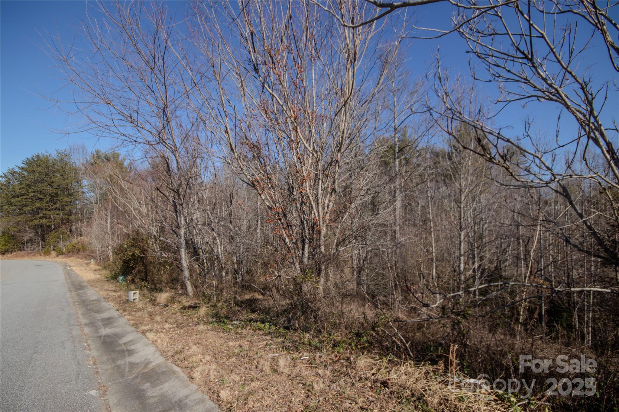 Image 3 Image 3
