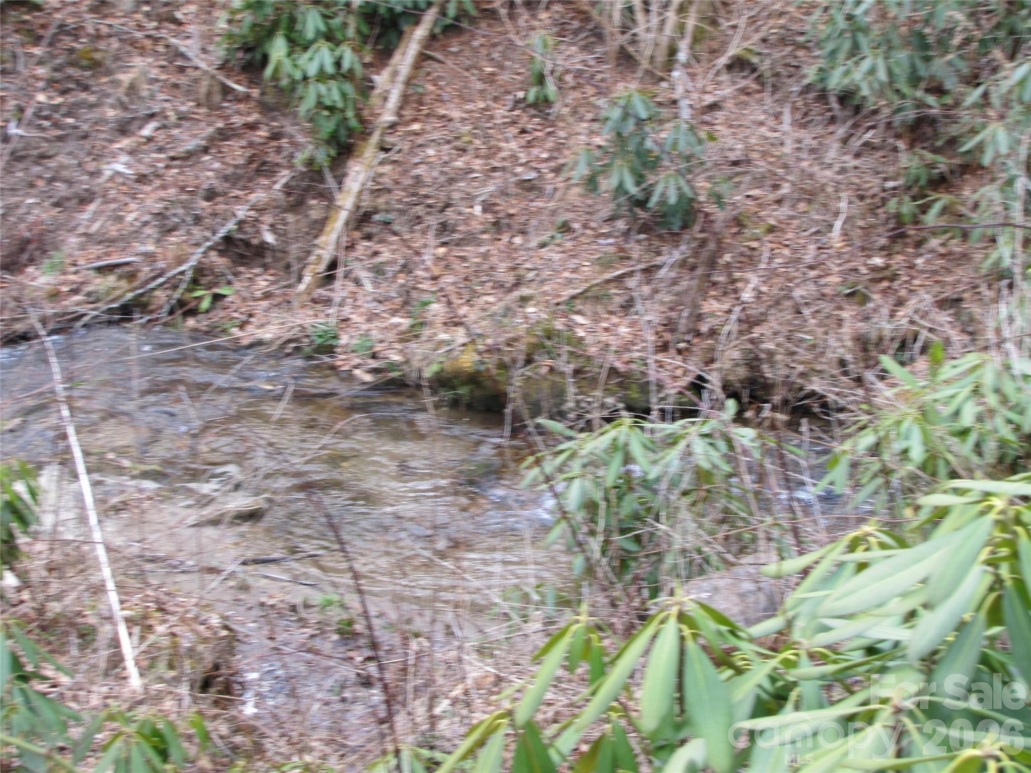Image 4 Image 4