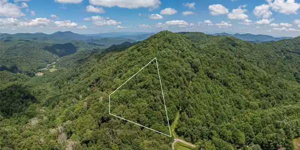Image 4 Image 4