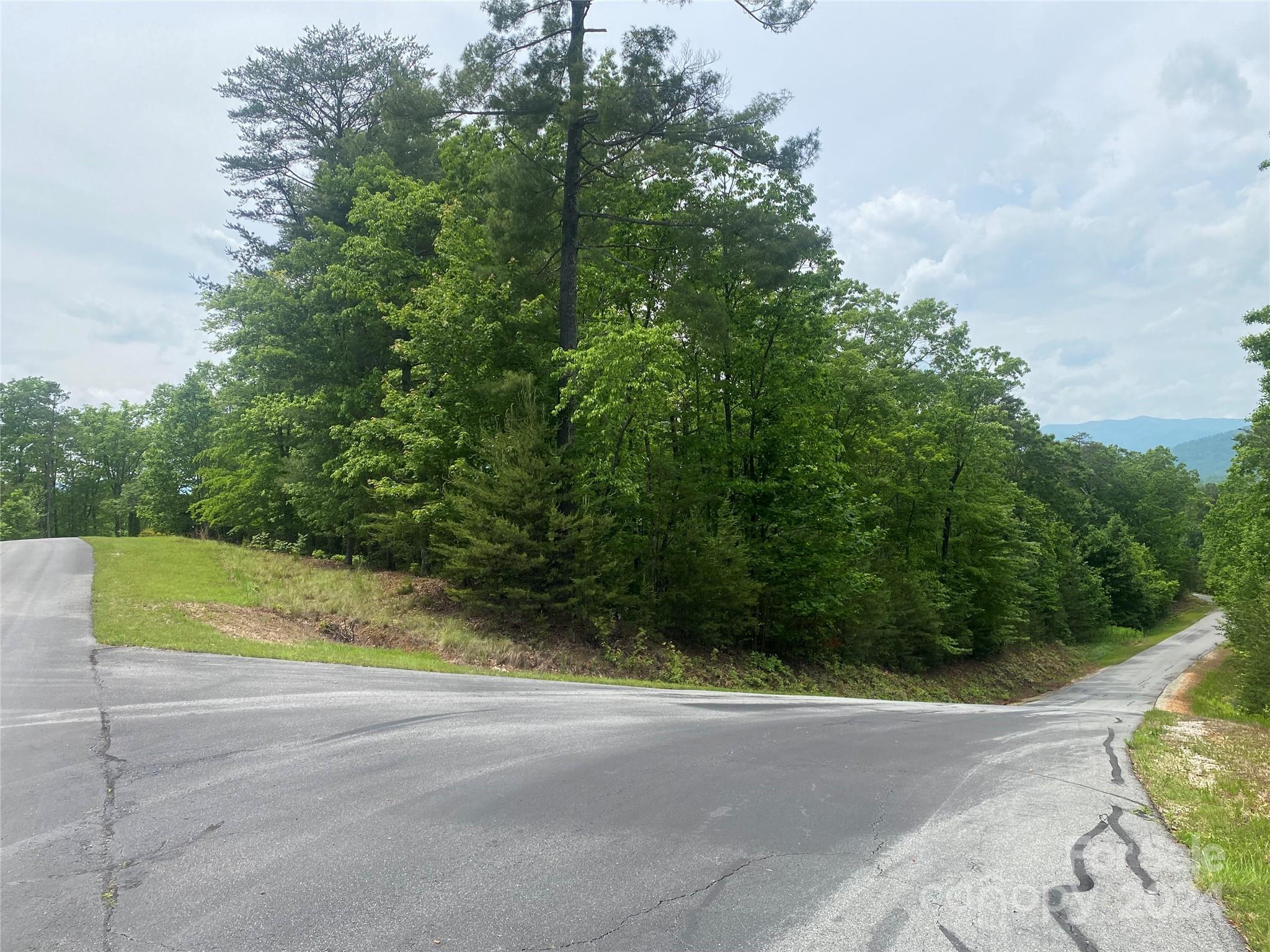 Image 4 Image 4