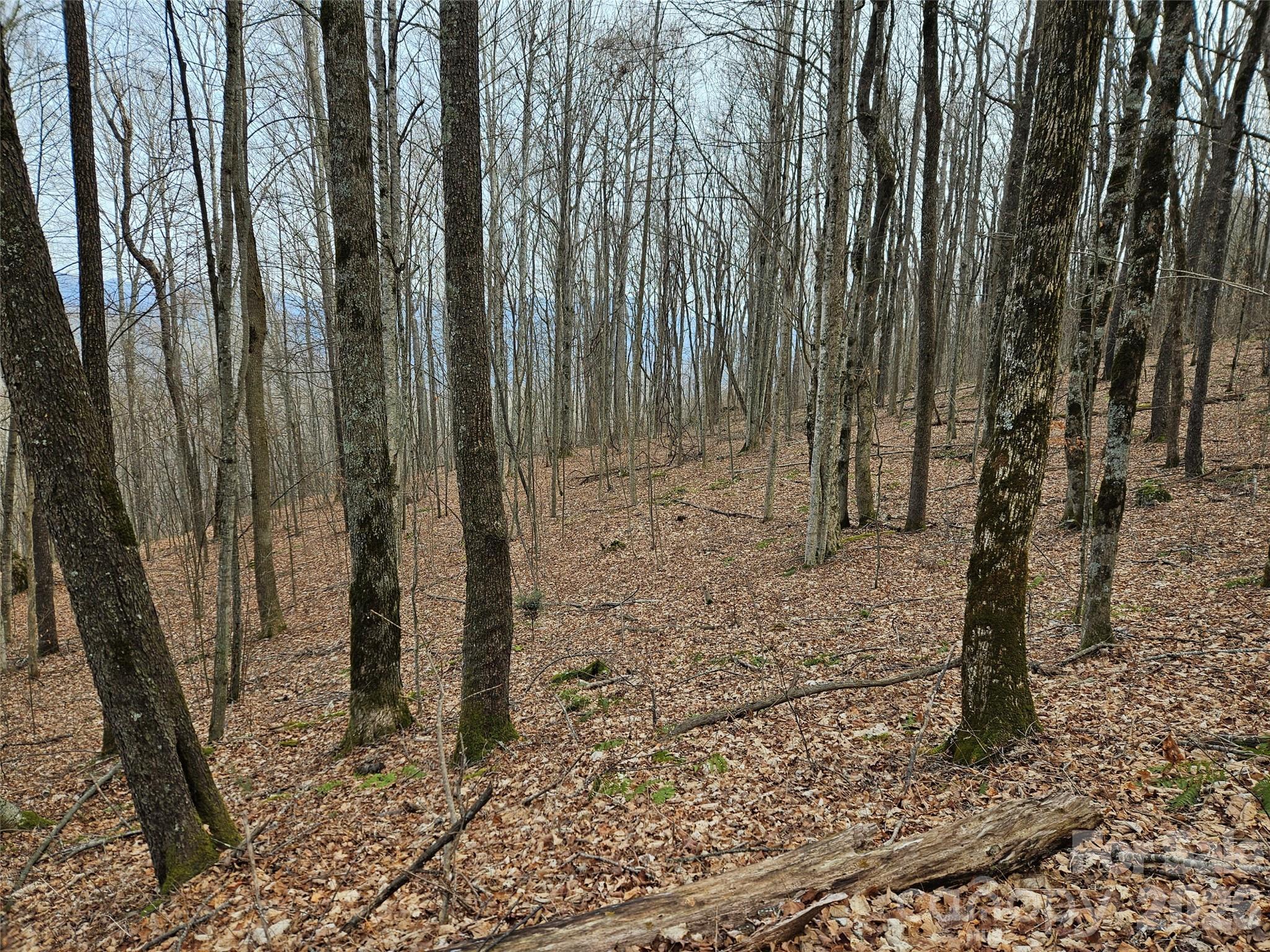 Image 4 Image 4