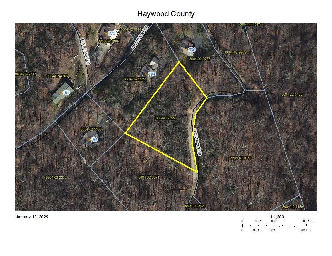 Image 1 Image 1