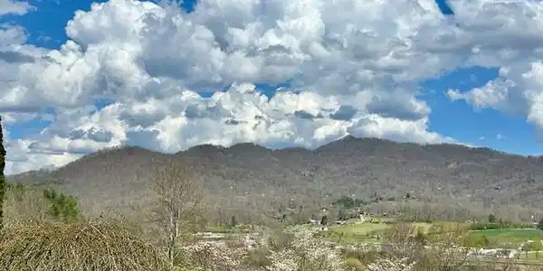 Image 4 Image 4