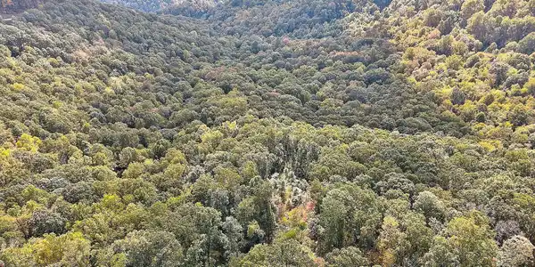 Image 3 Image 3