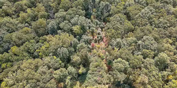 Image 4 Image 4