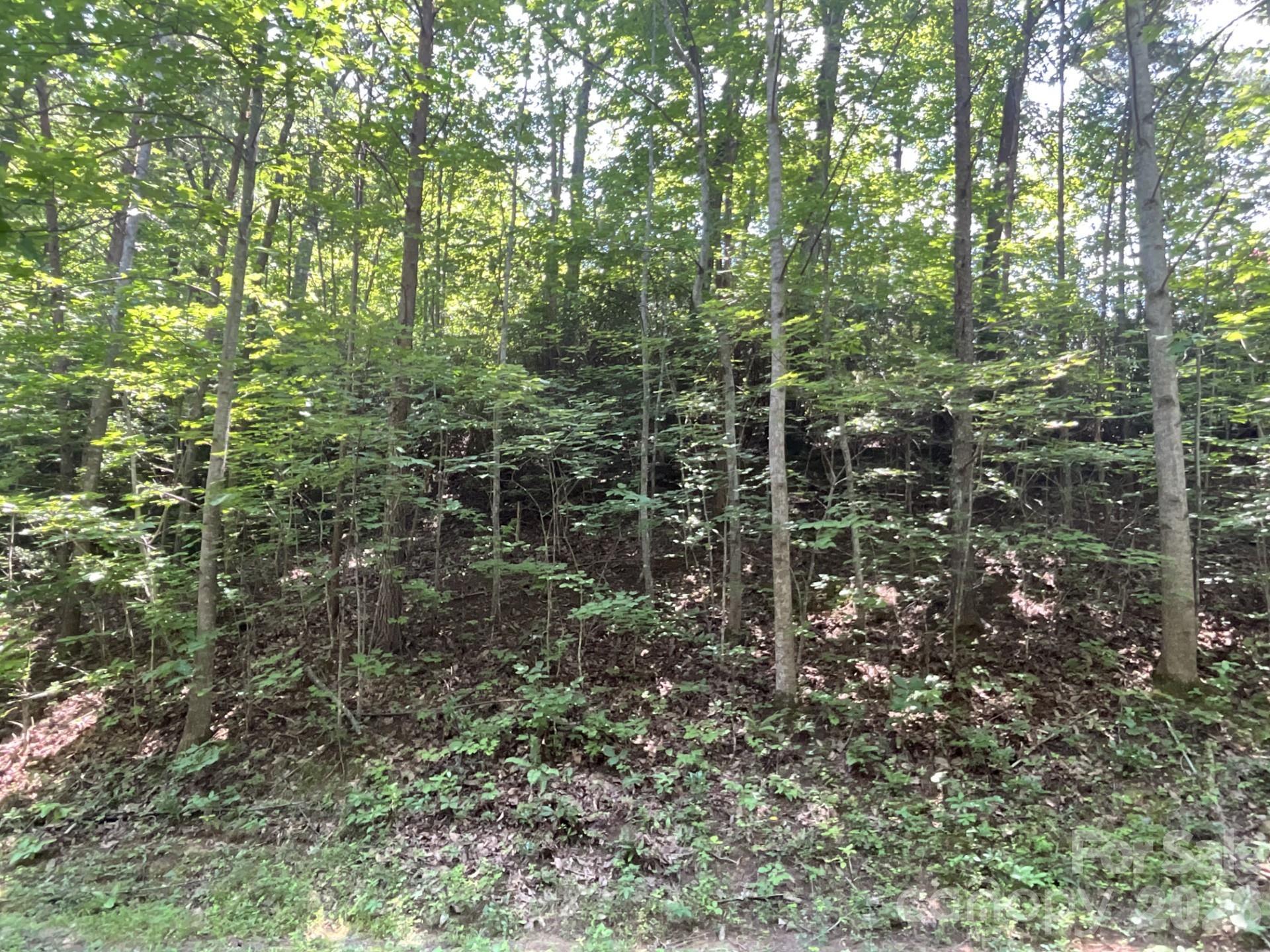 Image 2 Image 2