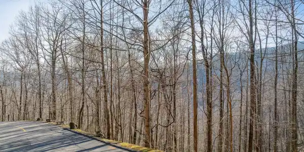 99999 Winding Poplar Road