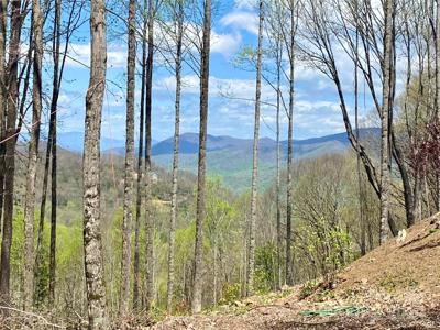 Lot 6 S Ridge Runner Road