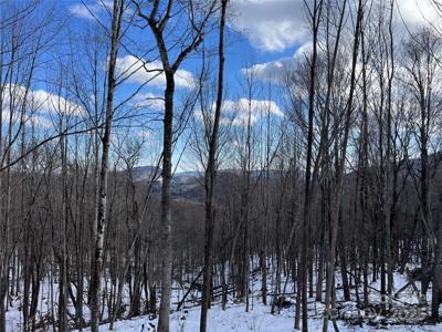 TBD (Lot 69) Poplar Forest Drive