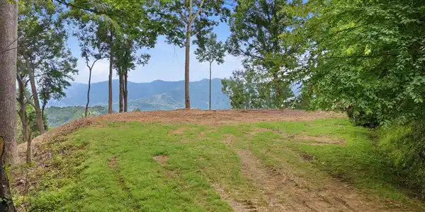 99999 Davidson Gap Road