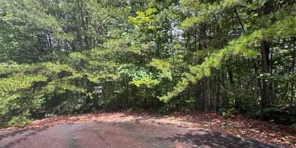 TBD Fire Tower Road