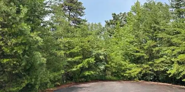 Image 2 Image 2
