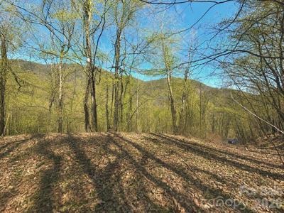 1200 Chestnut Flats Lane