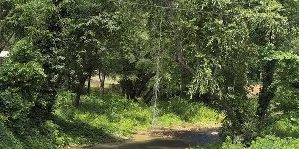 Image 2 Image 2