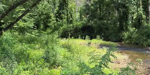 Image 4 Image 4