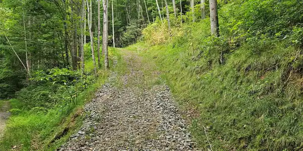 Image 4 Image 4