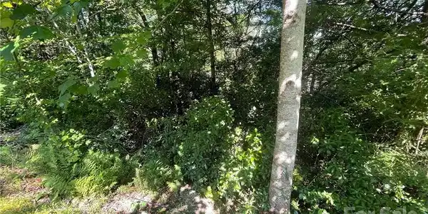 Image 3 Image 3