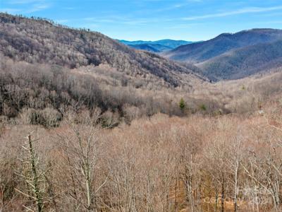 3 +/- acres Mountain Laurel Lane