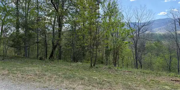 Image 3 Image 3