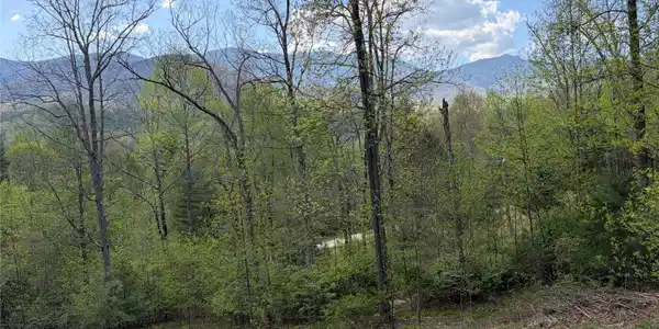 Image 4 Image 4