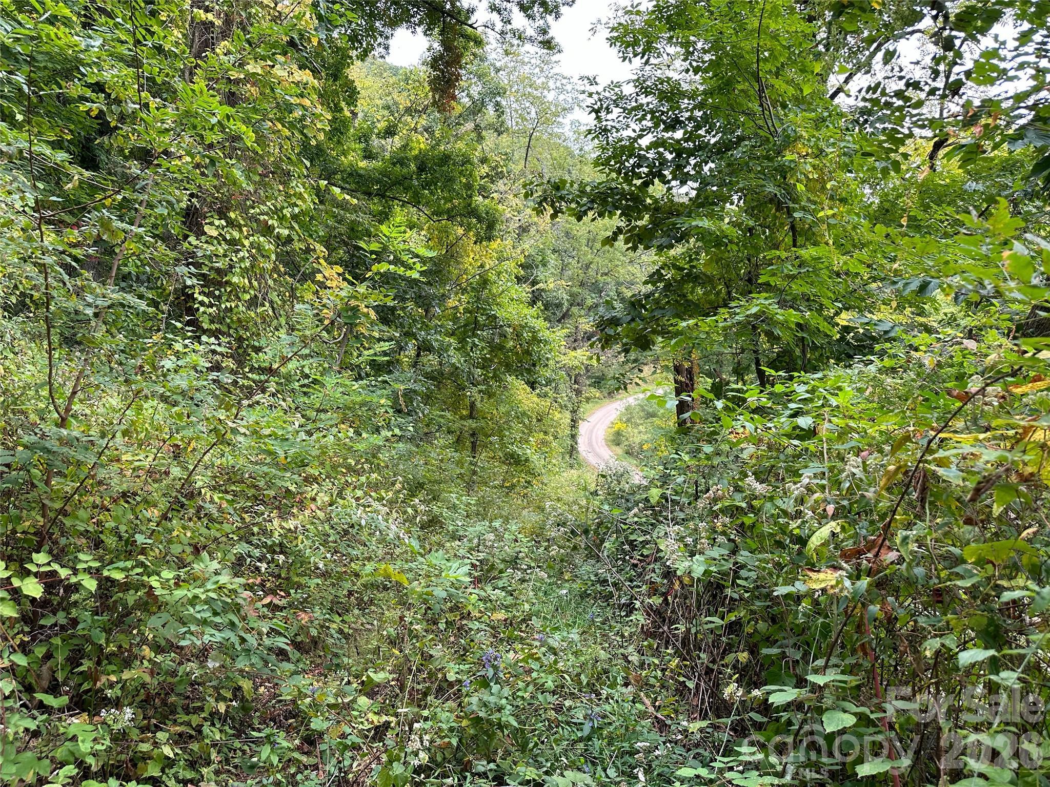 Image 4 Image 4