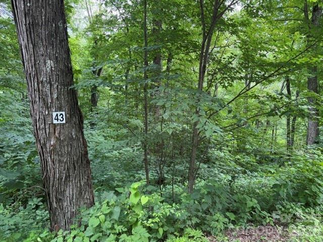 Image 1 Image 1