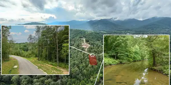 Image 4 Image 4