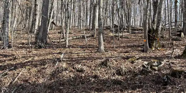 Image 3 Image 3