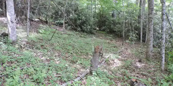 Image 4 Image 4
