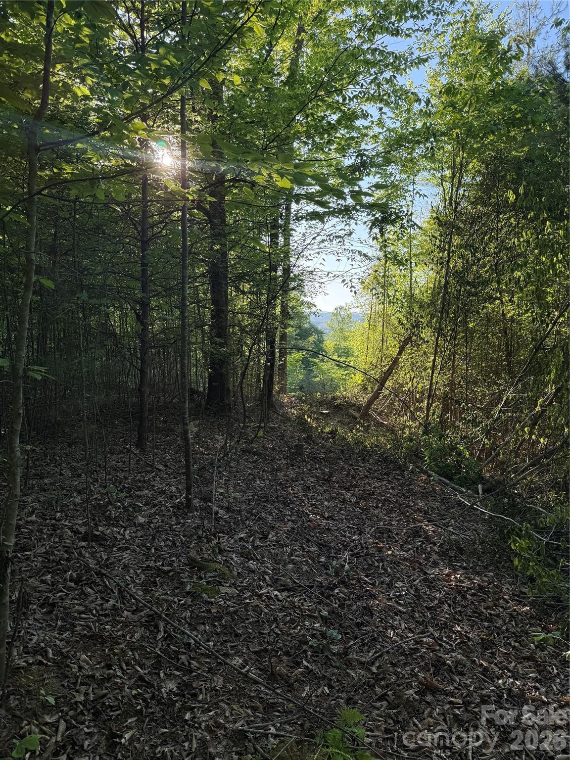 Image 2 Image 2