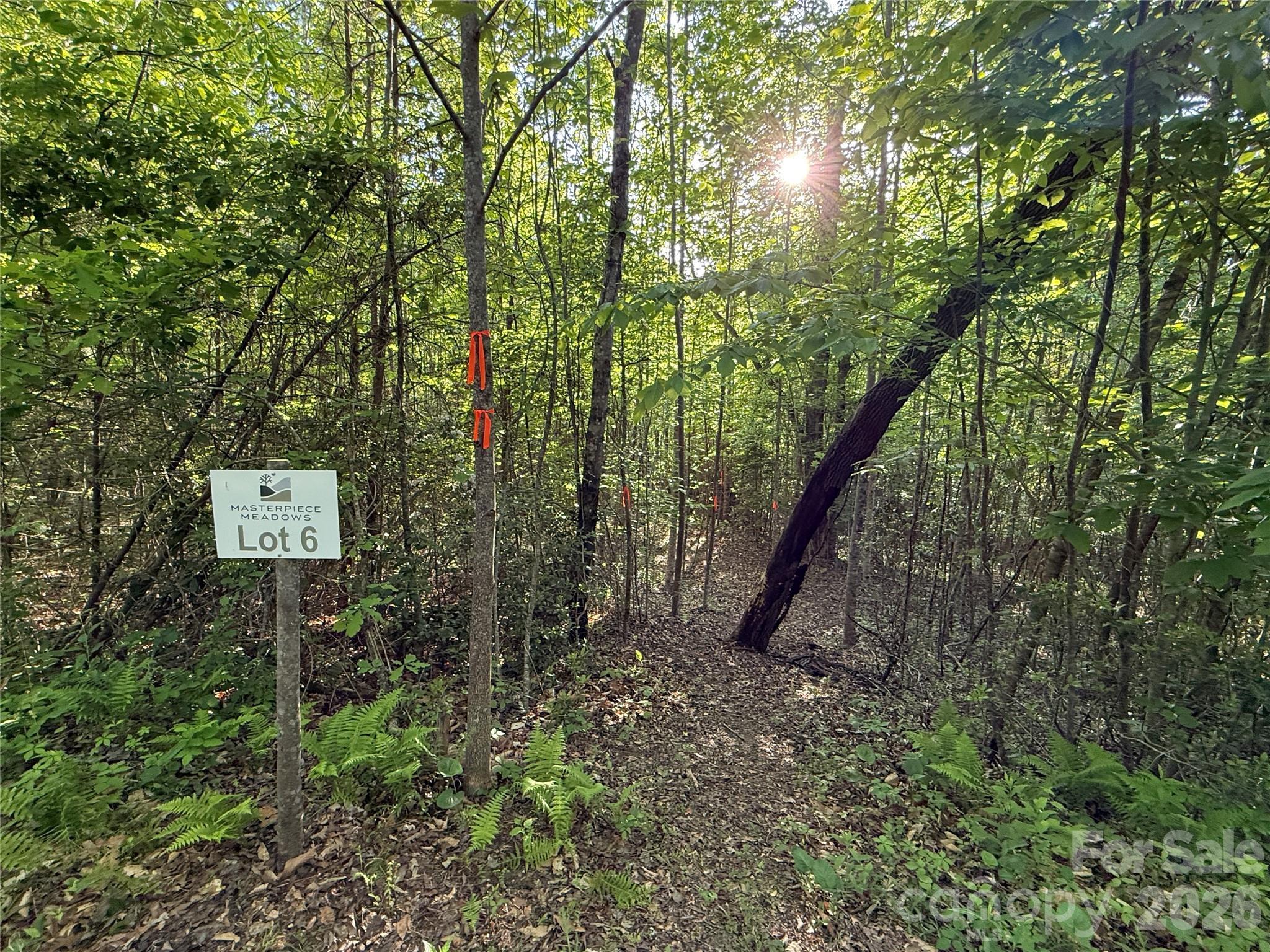 Image 4 Image 4