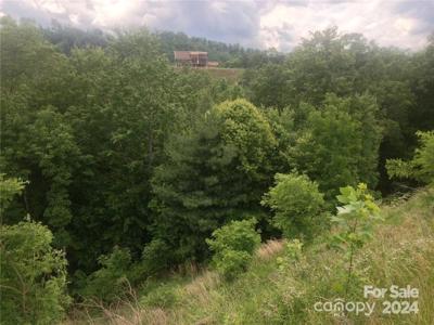 3.10 acres on Roca Vista Drive