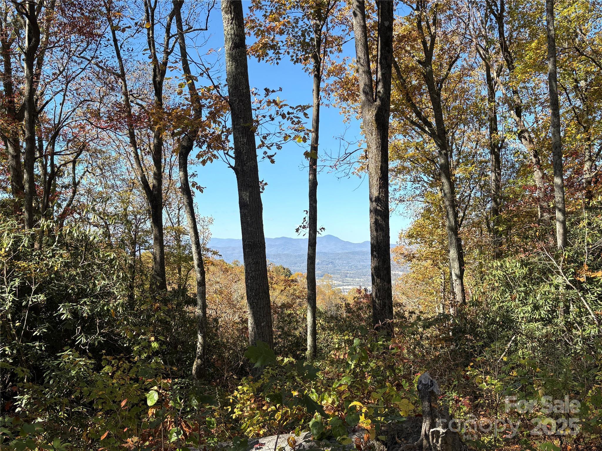 Image 4 Image 4
