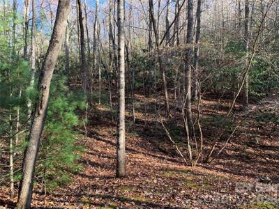 TBD (Lot 1) Dugger Firetower Road