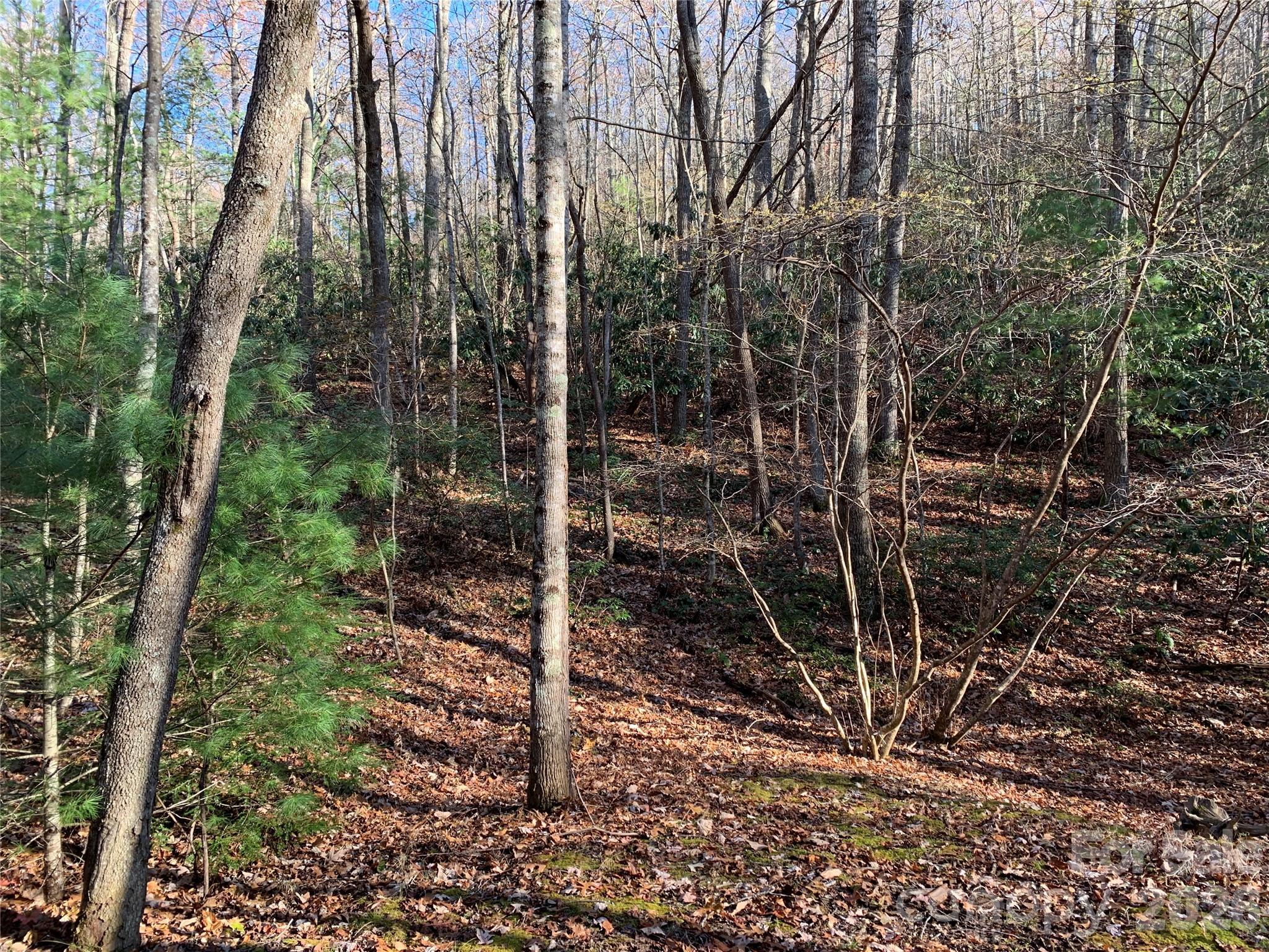 Image 1 Image 1