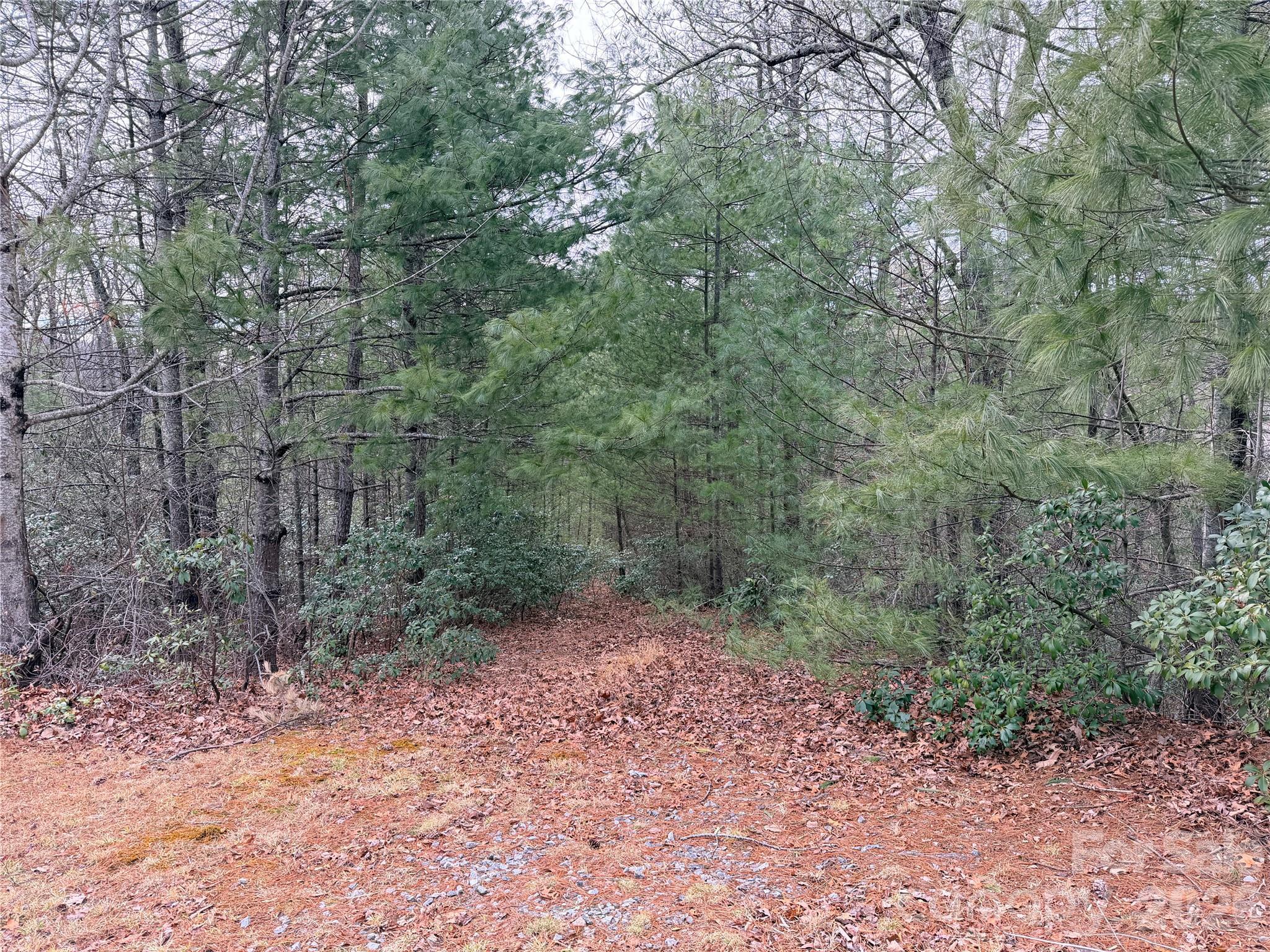 Image 4 Image 4