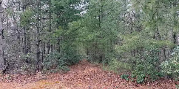 Image 4 Image 4