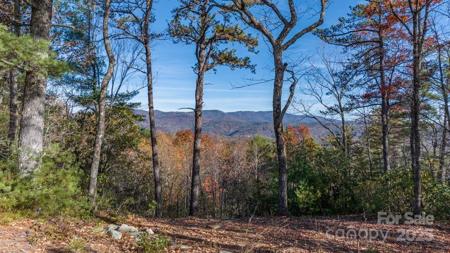 223 Red Cedar Road