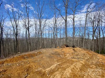 TBD Old Chestnut Mountain Road
