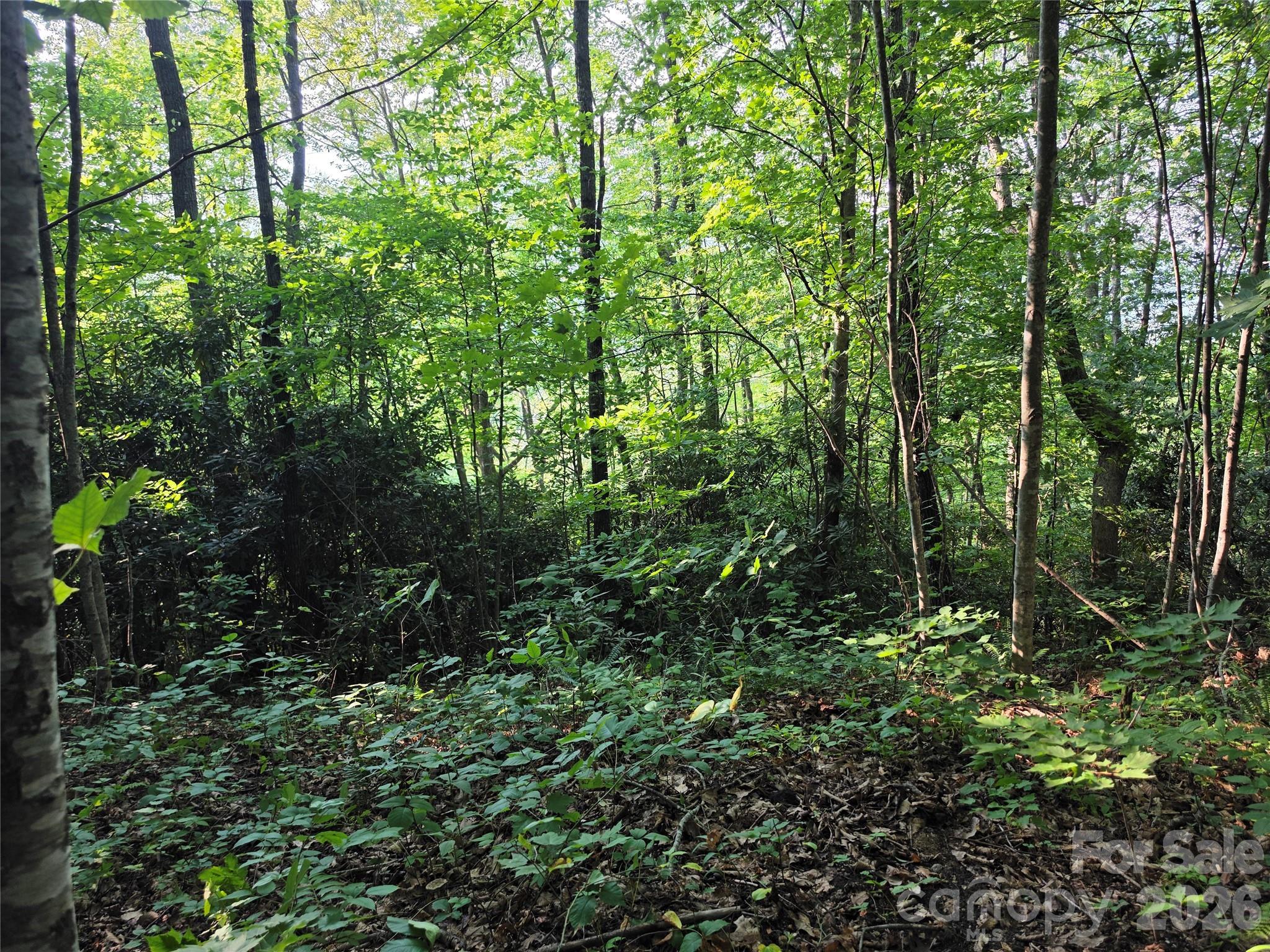 Image 4 Image 4