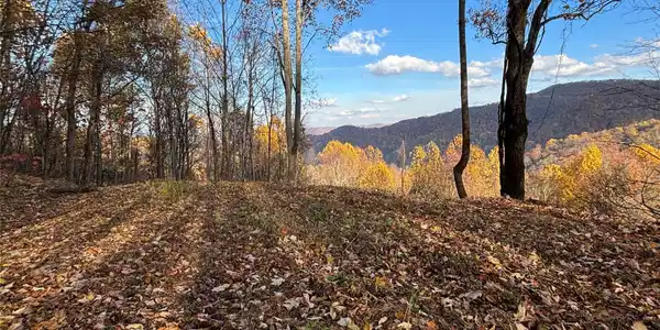 (North Lot) Meadow Fork Road