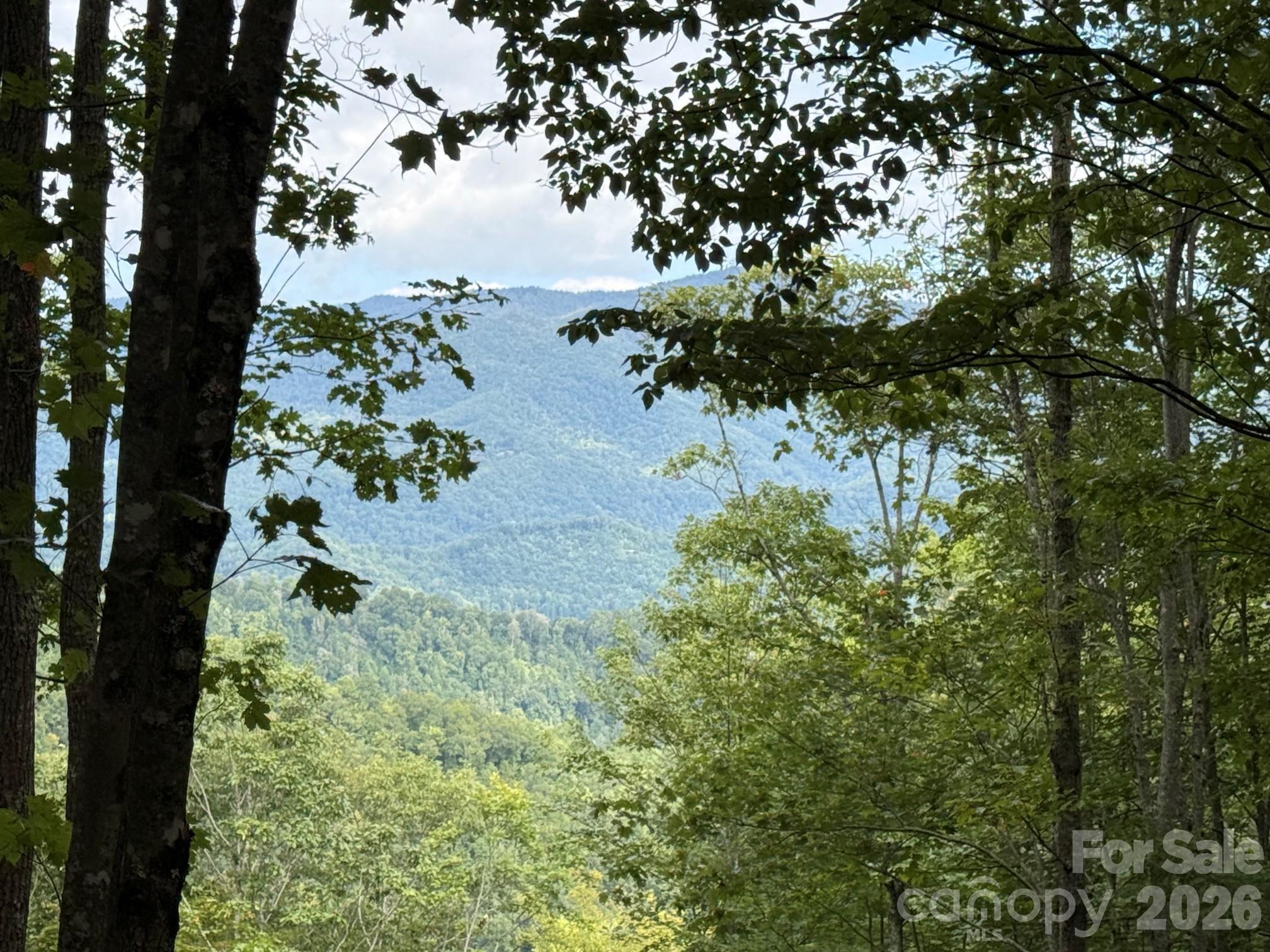 Image 2 Image 2