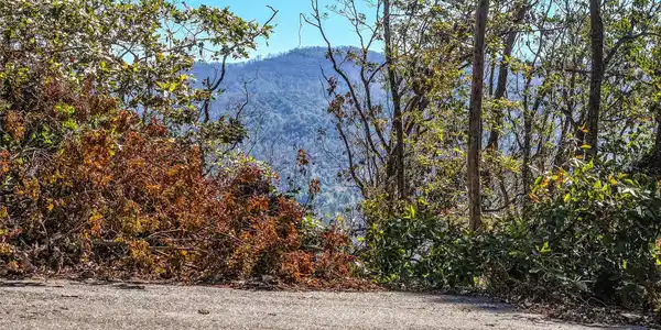 Lots 2, 135 and Pt 136 High Bluff Drive