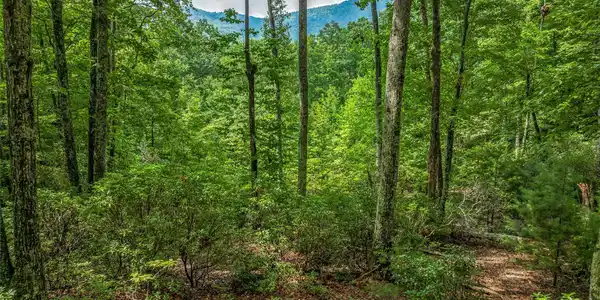 72 Smokey Ridge Trail