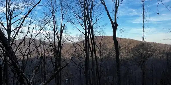 000 Mountain Breeze Trail