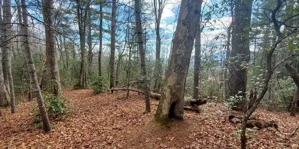 Image 3 Image 3