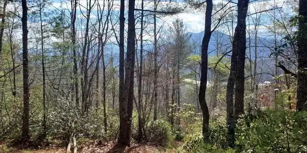 Image 4 Image 4